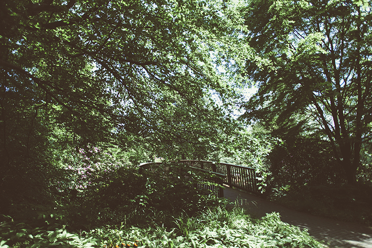 20140516_4817