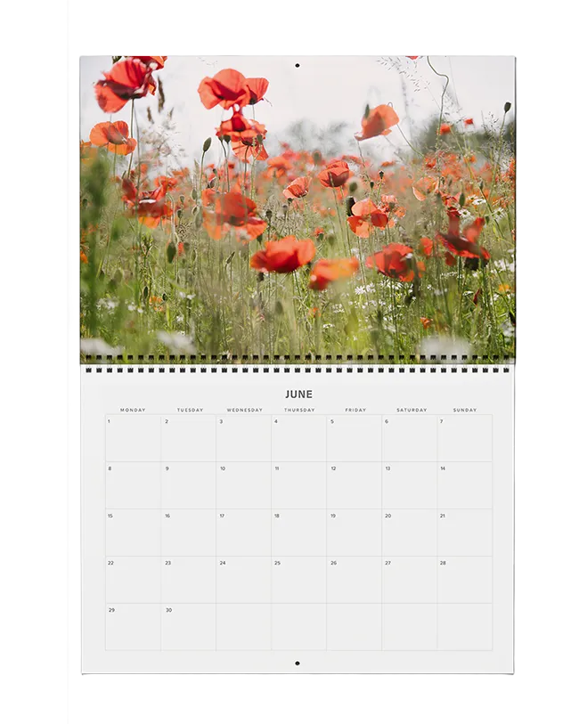 Fotokalender Terminplaner 2026 Wildblütenträume