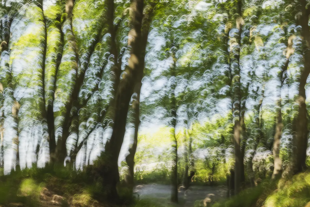 Fotoworkshop in Glücksburg im Quellental in der Nähe von Flensburg